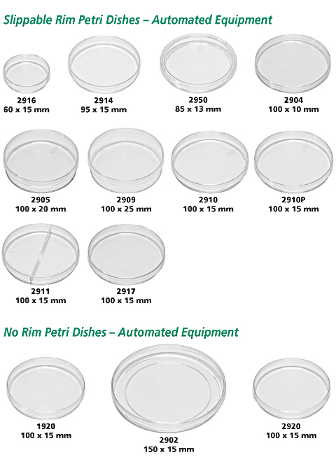 automated dishes